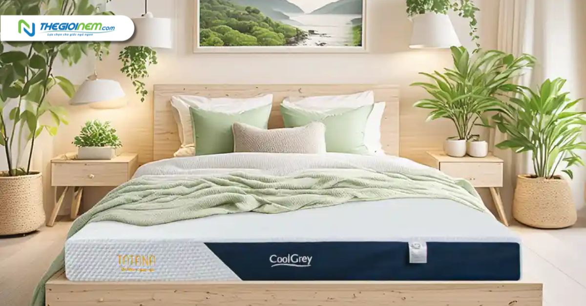 Nệm cao su thiên nhiên TATANA Cool Grey 